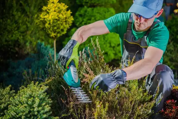 landscaping services Lemay